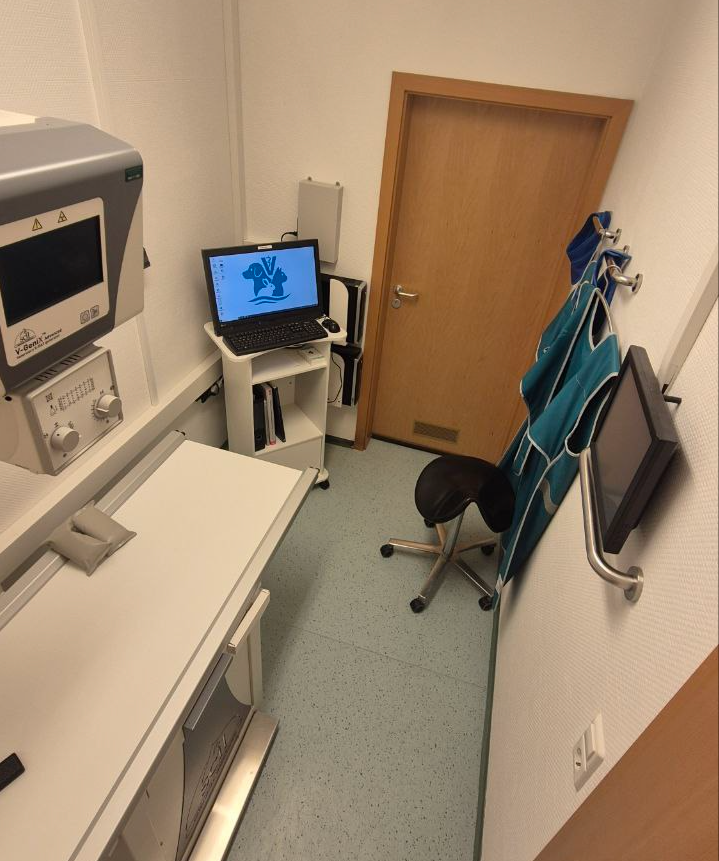 hochaufloesendes Digitalroentgen