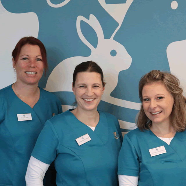 Praxisteam Portraitbild